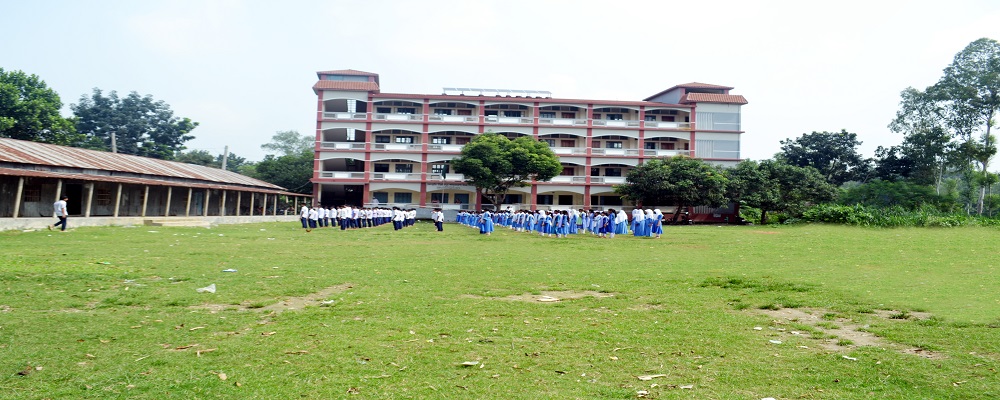 প্রতিষ্ঠানের ইতিহাস